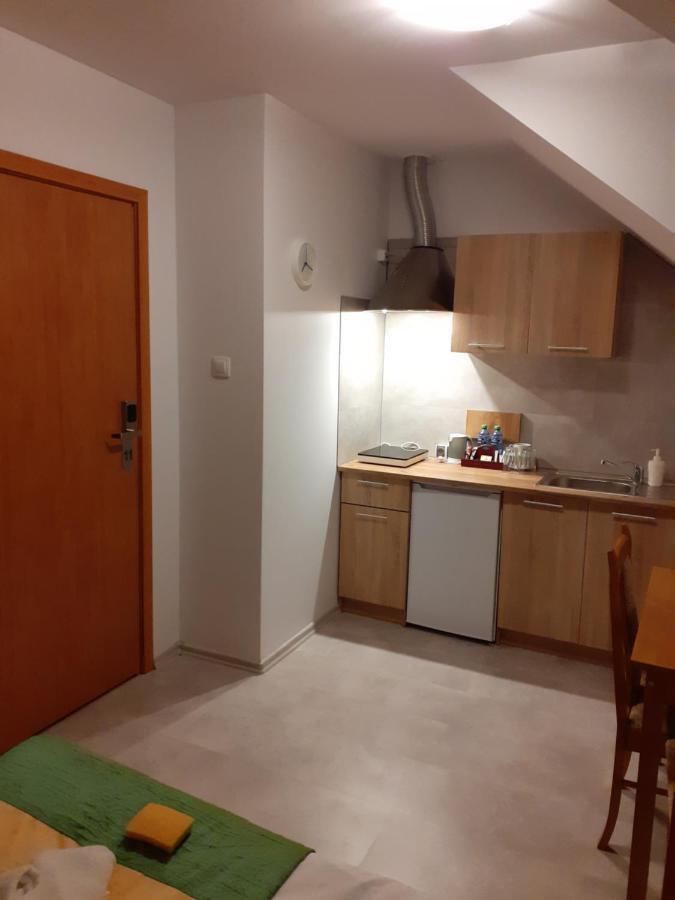 Aparthotel Arkadia Płock Kültér fotó